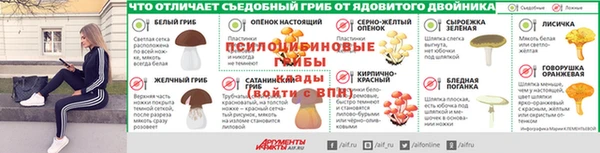 прущие крисы Корсаков
