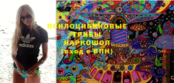 прущие крисы Корсаков