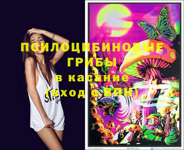 ECSTASY Костерёво