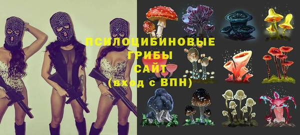 прущие крисы Корсаков