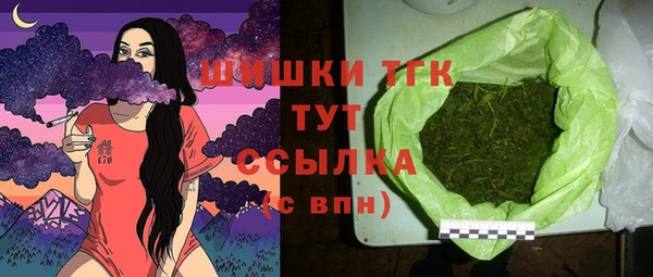 ECSTASY Костерёво