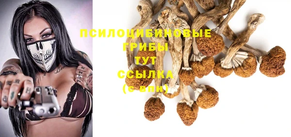 прущие крисы Корсаков