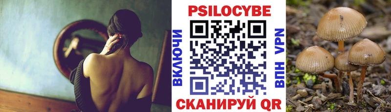 Купить где  Майский  Псилоцибиновые грибы Magic Shrooms 